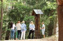 Day Group Tour: Curonian spit (Neringa) from Klaipeda DFDS