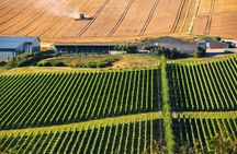 Seven Sisters Coast, Rathfinny Wine Estate & Longman Brewery