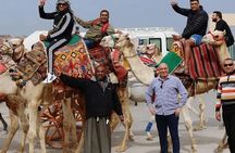Discover the Pyramids Egyptian Museum and Nile Cruise Lunch