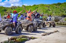  Tour en ATV o Buggy en Playa Macao y la Cueva Taino 