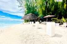 Lagoon Tour + lunch with your feet in the water on a Motu