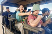 Chobe Safari Day Trip – From Livingstone