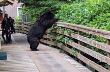 Ketchikan Alaska private tour