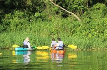 Kayak Tour in Tortuguero Canals with Tourist Guide