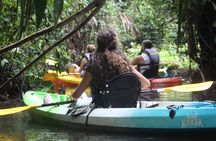 Kayak Tour in Tortuguero Canals with Tourist Guide