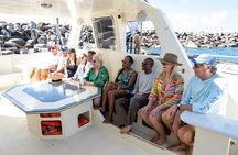 Sunset Splash and Sail with Open Bar