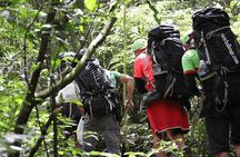Dalat 2 Days Eco Trekking Tour