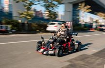 Akihabara / Asakusa 60min Go Karting Tour - *IDP required!* 
