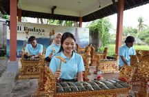 Discover the Balinese Gamelan 