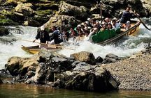 Kyoto Sagano Romantic Train in Arashiyama Bus Tour