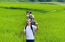 Sapa 2D1N Trek – Rice Terraces, Minority Villages & Local Stay