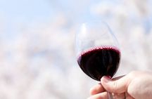 San Gimignano and Winery Experience with Light Lunch from Pisa