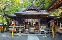 Mount Fuji Full Day Sightseeing Tour from Tokyo