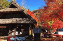 Tokyo: Mount Fuji Must-see Attractions One Day Sightseeing Tour