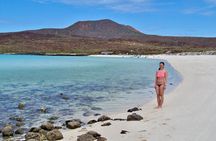 Coronado Island and Snorkel Tour