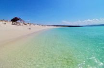 Coronado Island and Snorkel Tour