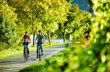 Bicycle Picnic Boat Tour from to Bernkastel Kues Private Tour