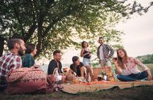 Bicycle Picnic Boat Tour from to Bernkastel Kues Private Tour