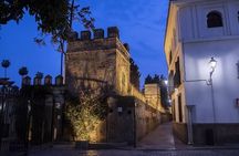 Private Tour of Seville Full - Monuments and Jewry -
