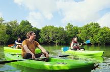 Zanzibar Memorable & Unique Guided Mangrove Tour by SUP or Kayak