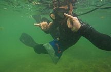 Snorkeling the African Sea Forest in Cape Town
