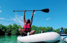 Zanzibar Memorable & Unique Guided Mangrove Tour by SUP or Kayak