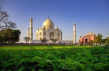 Agra Skip the Line Taj Mahal and Agra Fort Private Tour