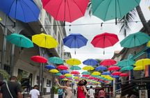 Mauritius Private North Tour: Port Louis, Garden & Grand Baie