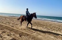 Sunset Horse Riding on the beach