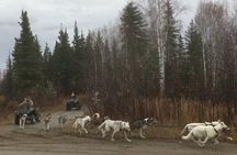 Free Pick up - Fall Alaskan Husky Dog Sledding Cart/ATV Ride