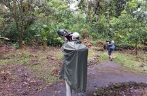 Arenal Half-day Birding and Photography