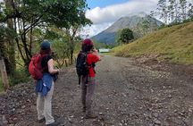 Arenal Half-day Birding and Photography
