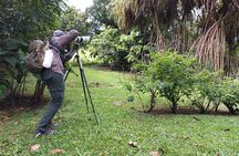Arenal Half-day Birding and Photography