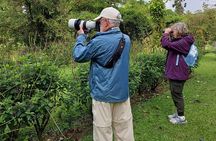 Arenal Half-day Birding and Photography