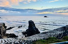 [PRIVATE] SUNSET. Wine. Hot Pool. Dinner