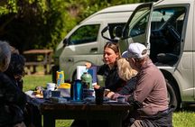 Akaroa with optional dolphin cruise (Small Group Tour)
