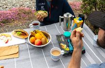 Godley Head Scenic Drive & Guided Walk (Shore Excursion)