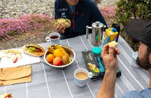 1/2-day Christchurch Scenic Highlights (Private Tour)