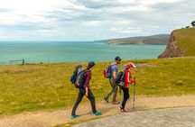 Guided Walking Tour & Scenic Drive - Lyttelton & Godley Head
