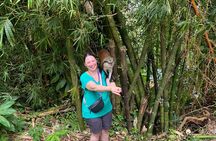 Nature Lovers: Taste of Grenada Private Tour