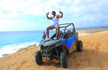 Cactus Premium Combo: OFF ROAD & SKY BIKE