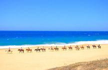 Combo Horseback ride & Sky Bike in Cabo by Cactus Tours Park