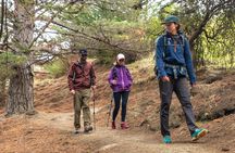 Private Walking Tour From Christchurch - Lyttelton & Godley Head