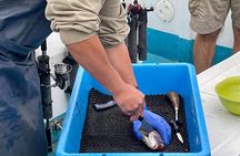 Setouchi Fishing and Culinary Adventure
