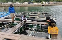 Setouchi Fishing and Culinary Adventure
