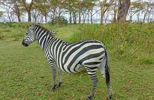 3 Days 2 Nights Masai Mara Joining Group