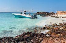 5 Hours Daymaniyat Half Day Snorkeling Trip
