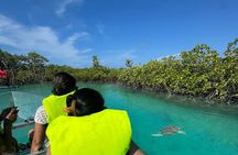 Electric Powered Clear Boat Mangrove Eco Tour