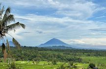 Full-day Ubud Private tour : Cultural Heritage