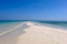 Prison Island + Nakupenda Tour